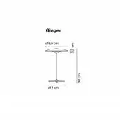 Baladeuse Led Ginger / Chêne noir