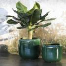 Cache pot de fleurs GLAZED SHADES COSTA / 3 dimensions / Vert