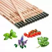 Lot de 4 crayons à papier à planter / Avec graines de 3 plantes aromatiques et 1 fruit / Sprout