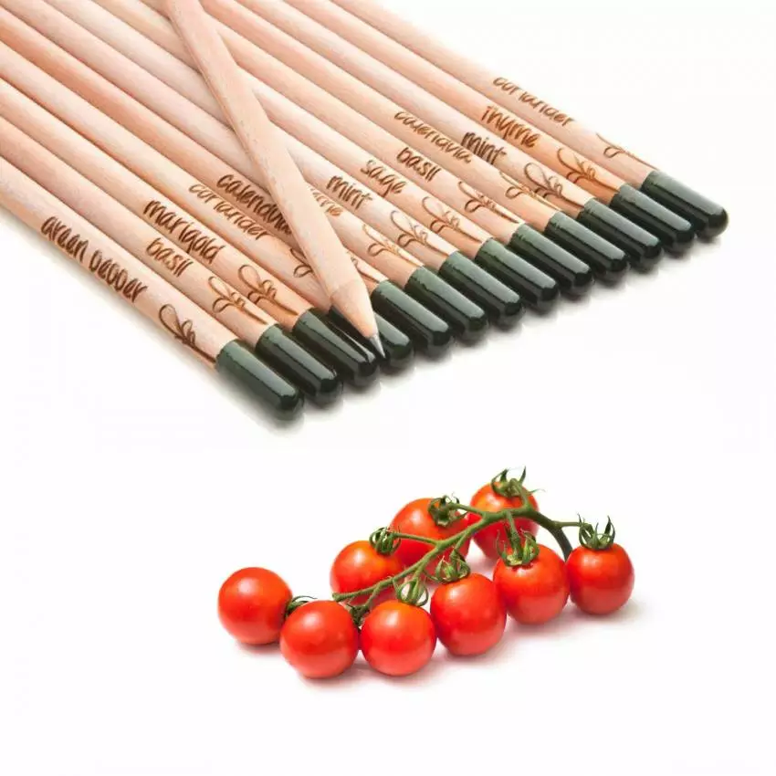 Crayon à papier à planter / Avec graines de tomate cerise / Sprout