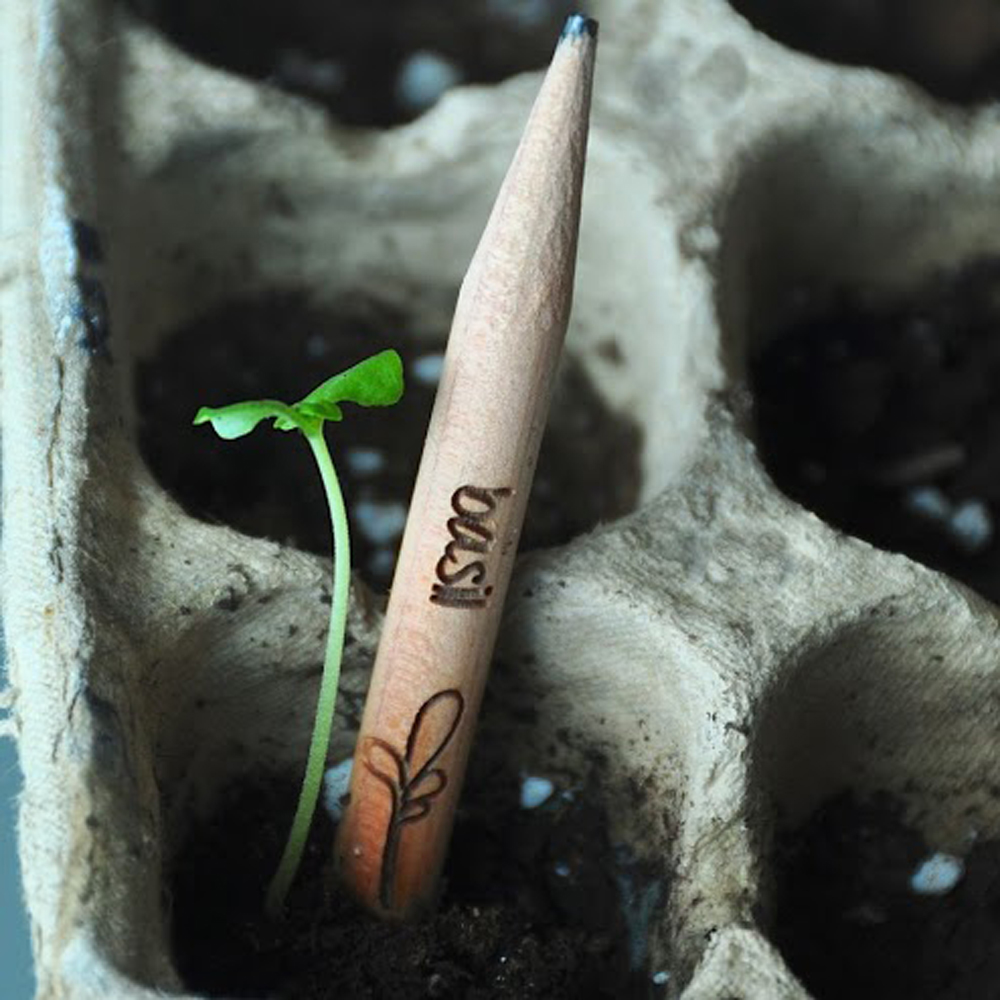 sprout-crayon-plante-bowigo-16