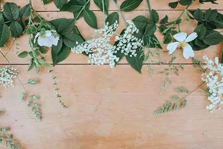 DIY : compositions florales